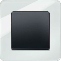 Berker Q.7, Полярная белизна/Черный