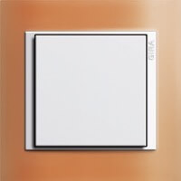 Gira Event Opaque. Цвет рамки: Оранжевый; Цвет вставки: Белый глянцевый; Цвет клавиши: Белый матовый