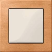 Merten, M-Elegance, Цвет: Бук