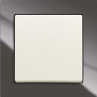 ABB, Busch-axcent, Цвет: Chateau-черный