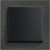 ABB, Busch-axcent PUR, Цвет: Серый сланец / Slate grey