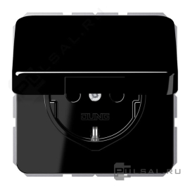 Розетка
CD 500,  CD ударопрочная,  CD plus,  без шторок,  с крышкой,  с заземлением,  одинарная,  безвинтовые клеммы,   цвет - черный,  пластмасса,  CD1520BFKLSW,  CD 1520 BFKL SW,  JUNG
 - PULSAL.RU