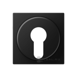 Накладка на выключатель замочного механизма
A VIVA,  A creation,  A 550,  A flow,  AS 500,   цвет - черный матовый,  пластмасса,  A528PLSWM,  A 528 PL SWM,  JUNG
 - PULSAL.RU