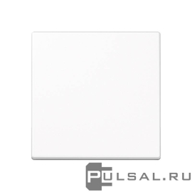 Клавиша
A VIVA,  A creation,  A 550,  A flow,  одноклавишный,  без подсветки,   цвет - белый,  пластмасса,  A590WW,  A 590 WW,  JUNG
 - PULSAL.RU