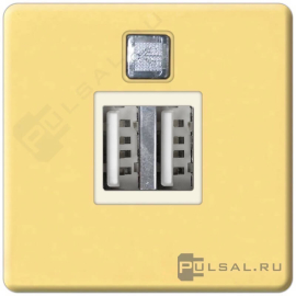Розетка USB, 2,0 А
Barcelona,  Madrid,  San Sebastian,  Sevilla,  Vintage Wood,  Vintage Corinto,  Vintage Tapestry,  Vintage Porcelain,  Siena,  Firenze,  Granada,  Emporio,  Sanremo,  Belle Epoque,  San Sebastian Surface,  USB type-A 5V,  двойная,   цвет - золото блестящее (bright gold),  металл,  FD-212USBOB-A,  FEDE
 - PULSAL.RU