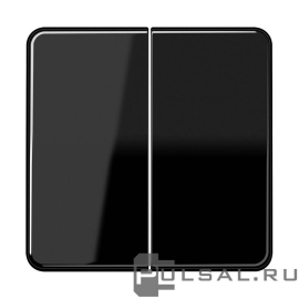 Клавиши
CD 500,  CD plus,  двухклавишный,  без подсветки,   цвет - черный,  пластмасса,  CD595SW,  CD 595 SW,  JUNG
 - PULSAL.RU