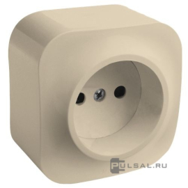 Розетка
Quteo,  без шторок,  без заземления,  одинарная,  винтовые клеммы,   цвет - слоновая кость,  пластмасса,  782240,  7 822 40,  Legrand
 - PULSAL.RU