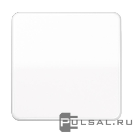 Клавиша
CD 500,  CD plus,  одноклавишный,  без подсветки,   цвет - белый,  пластмасса,  CD590WW,  CD 590 WW,  JUNG
 - PULSAL.RU