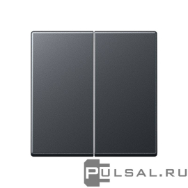 Клавиши
A VIVA,  A creation,  A 550,  A flow,  AS 500,  двухклавишный,  без подсветки,   цвет - антрацит матовый,  пластмасса,  A595BFANM,  A 595 BF ANM,  JUNG
 - PULSAL.RU