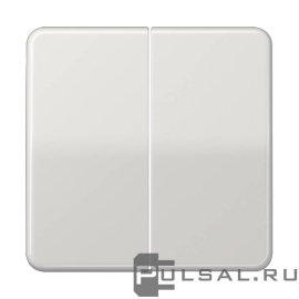 Клавиши
CD 500,  CD plus,  двухклавишный,  без подсветки,   цвет - светло-серый,  пластмасса,  CD595LG,  CD 595 LG,  JUNG
 - PULSAL.RU