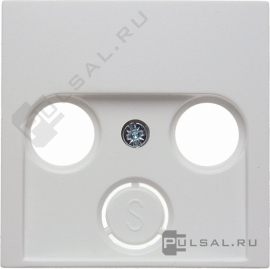 Накладка
S.1,  телевизионная (TV),  спутниковая (SAT),  радио (R),  двойная,  тройная,   цвет - белый глянцевый,  пластмасса,  12038989,  1203 89 89,  Berker
 - PULSAL.RU