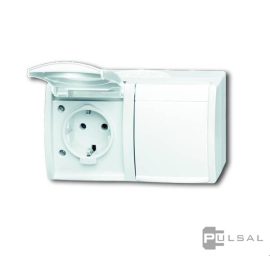 Розетка
Ocean (IP 44),  без шторок,  с крышкой,  с заземлением,  двойная,  безвинтовые клеммы,   цвет - альпийский белый,  пластмасса,  IP 44,  20/2 EW-54-500,  2CKA002084A0727,  ABB
 - PULSAL.RU