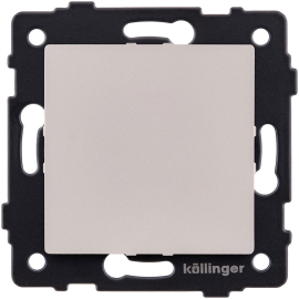 Заглушка
Aspekt,  Eleganz,  Reflex,  пластмасса,  REA-707CM,  Kollinger
 - PULSAL.RU