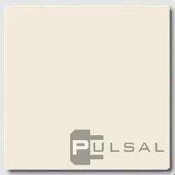 Клавиша
ECO profi и ECO profi Standart,  ECO profi design (ECO Profi Deco),  одноклавишный,  без подсветки,   цвет - слоновая кость,  пластмасса,  EP490,  EP 490,  JUNG
 - PULSAL.RU