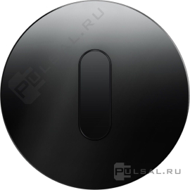 Накладка с черной ручкой
R.Classic,   цвет - черный,  стекло,  1001205500,  10 01 2055 00,  Berker
 - PULSAL.RU