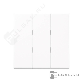 Клавиши
A VIVA,  A creation,  A 550,  A flow,  AS 500,  AS 500 Ударопрочная,  трехклавишный,  без подсветки,   цвет - белый,  пластмасса,  A593BFWW,  A 593 BF WW,  JUNG
 - PULSAL.RU