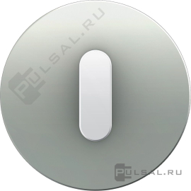 Накладка с белой ручкой
R.Classic,   цвет - алюминий матовый,  металл,  1001207400,  10 01 2074 00,  Berker
 - PULSAL.RU