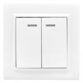 Выключатель
Минск,  двухклавишный,  с подсветкой,   цвет - белый,  пластмасса,  ERV10-123-10,  EKF
 - PULSAL.RU