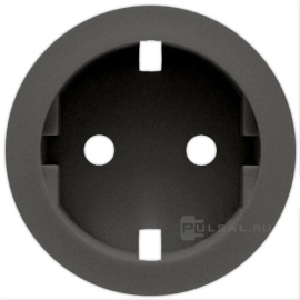 Накладка (старая коллекция Графит)
Celiane,  со шторками,  с заземлением,  одинарная,   цвет - графит,  пластмасса,  064927,  0 649 27,  Legrand
 - PULSAL.RU