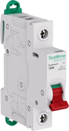 Выключатель нагрузки (рубильник) Systeme9 Systeme9, 1 полюс, 25А, S9S40192, Systeme Electric - PULSAL.RU