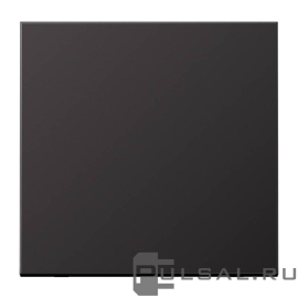 Клавиша
LS 990,  LS ZERO,  LS-design,  одноклавишный,  без подсветки,   цвет - алюминий темный,  металл,  AL2990D,  AL 2990 D,  JUNG
 - PULSAL.RU