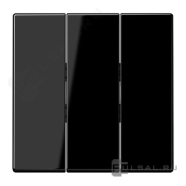 Клавиши
LS 990,  LS plus,  LS-design,  трехклавишный,  без подсветки,   цвет - черный,  пластмасса,  LS993BFSW,  LS 993 BF SW,  JUNG
 - PULSAL.RU