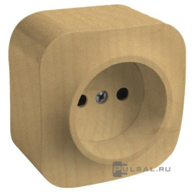 Розетка
Quteo,  без шторок,  без заземления,  одинарная,  винтовые клеммы,   цвет - дерево,  пластмасса,  782270,  7 822 70,  Legrand
 - PULSAL.RU