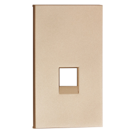 Накладка для механизма розетки RJ45
Soft Touch,  одинарная,   цвет - шампань матовый,  пластмасса,  ACH07M2,  MEITON
 - PULSAL.RU