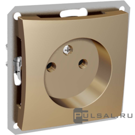 Розетка
Дуэт,  без шторок,  без заземления,  одинарная,  винтовые клеммы,   цвет - шампань,  пластмасса,  WDE000441,  Schneider Electric
 - PULSAL.RU