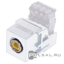 Разъем RCA (тип Keystone/AMP)
Barcelona,  Madrid,  San Sebastian,  Sevilla,  Toledo,  Vintage Wood,  Vintage Corinto,  Vintage Tapestry,  Vintage Porcelain,  Crystal De Luxe,  Siena,  Firenze,  Granada,  Emporio,  Sanremo,  Marco,  Belle Epoque,  San Sebastian Surface,  Roma Surface,  Smalto italiano,   цвет - белый,  пластмасса,  FD-310RSA-YL,  FEDE
 - PULSAL.RU Разъем RCA (тип Keystone/AMP)
Barcelona,  Madrid,  San Sebastian,  Sevilla,  Toledo,  Vintage Wood,  Vintage Corinto,  Vintage Tapestry,  Vintage Porcelain,  Crystal De Luxe,  Siena,  Firenze,  Granada,  Emporio,  Sanremo,  Marco,  Belle Epoque,  San Sebastian Surface,  Roma Surface,  Smalto italiano,   цвет - белый,  пластмасса,  FD-310RSA-YL,  FEDE
 - PULSAL.RU