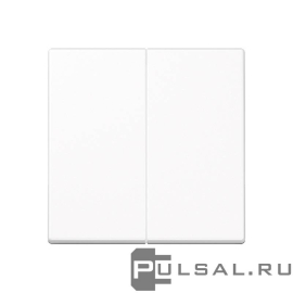 Клавиши
A VIVA,  A creation,  A 550,  A flow,  двухклавишный,  без подсветки,   цвет - белый,  пластмасса,  A595WW,  A 595 WW,  JUNG
 - PULSAL.RU