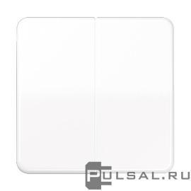 Клавиши
CD 500,  CD plus,  двухклавишный,  без подсветки,   цвет - белый,  пластмасса,  CD595WW,  CD 595 WW,  JUNG
 - PULSAL.RU