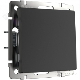 Выключатель
Alumax,  Split,  Slab,  Senso,  Baguette,  Acrylic,  Platinum,  Elite,  Snabb,  Stream,  Flock,  Stark,  Fiore,  Favorit,  Diamant,  Aluminium,  Antik,  Metallic,  одноклавишный,  без подсветки,   цвет - черный,  пластмасса,  W1110008,  a051608,  Werkel
 - PULSAL.RU