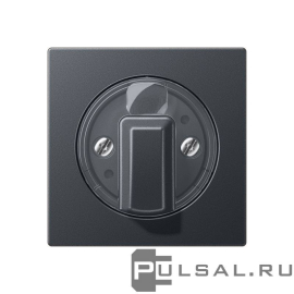 Накладка
A VIVA,  A creation,  A 550,  A flow,  AS 500,   цвет - антрацит матовый,  пластмасса,  A1541BFANM,  A 1541 BF ANM,  JUNG
 - PULSAL.RU Накладка
A VIVA,  A creation,  A 550,  A flow,  AS 500,   цвет - антрацит матовый,  пластмасса,  A1541BFANM,  A 1541 BF ANM,  JUNG
 - PULSAL.RU