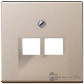 Накладка
A VIVA,  A creation,  A 550,  A flow,  ECO profi и ECO profi Standart,  ECO profi design (ECO Profi Deco),  двойная,   цвет - шампань,  пластмасса,  A569-2BFPLUACH,  A 569-2 BFPLUA CH,  JUNG
 - PULSAL.RU