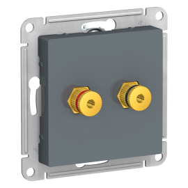 Розетка акустическая
Atlas Design Antique,  AtlasDesign Air,  Atlas Design,  1 пара,   цвет - грифель,  пластмасса,  ATN000787,  Schneider Electric
 - PULSAL.RU