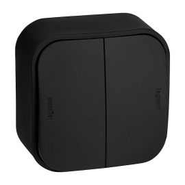 Выключатель
Quteo,  двухклавишный,  без подсветки,  с возможностью подсветки,   цвет - матовый черный,  пластмасса,  782474,  7 824 74,  Legrand
 - PULSAL.RU