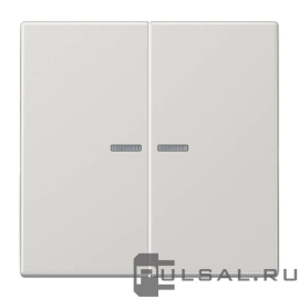 Клавиши
LS 990,  LS-design,  двухклавишный,  с подсветкой,  с индикацией,   цвет - светло-серый,  пластмасса,  LS995KO5LG,  LS 995 KO5 LG,  JUNG
 - PULSAL.RU