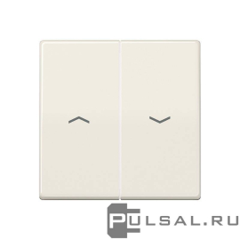 Клавиши для выключателя жалюзи
AS 500,  ECO profi и ECO profi Standart,  ECO profi design (ECO Profi Deco),  без фиксации,  с фиксацией,  без подсветки,   цвет - слоновая кость,  пластмасса,  AS591-5P,  AS 591-5 P,  JUNG
 - PULSAL.RU