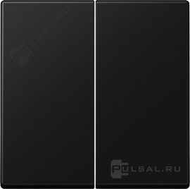 Клавиши
A VIVA,  A 550,  A flow,  двухклавишный,  без подсветки,   цвет - черный матовый,  пластмасса,  A595SWM,  A 595 SWM,  JUNG
 - PULSAL.RU