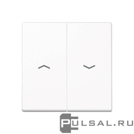 Клавиши для выключателя жалюзи
A VIVA,  A creation,  A 550,  A flow,  ECO profi и ECO profi Standart,  ECO profi design (ECO Profi Deco),  без фиксации,  с фиксацией,  без подсветки,   цвет - белый,  пластмасса,  A595PWW,  A 595 P WW,  JUNG
 - PULSAL.RU