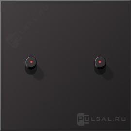 Накладка "цилиндр" тумблерного выключателя
LS 1912,  двухклавишный,  с подсветкой,   цвет - алюминий темный,  металл,  AL12-5KODR01,  AL 12-5 KO D R 01,  JUNG
 - PULSAL.RU