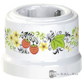 Розетка
Лизетта Декор,  без шторок,  с заземлением,  одинарная,  винтовые клеммы,   цвет - белый - декор d9/5,  фарфор / керамика,  B1-101-01-D9/5,  B1-101-01 D9/5,  Bironi
 - PULSAL.RU