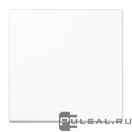 Клавиша
LS 990,  LS plus,  LS ZERO,  LS-design,  одноклавишный,  без подсветки,   цвет - белый,  пластмасса,  LS990WW,  LS 990 WW,  JUNG
 - PULSAL.RU