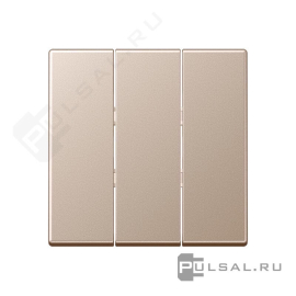 Клавиши
A VIVA,  A creation,  A 550,  A flow,  трехклавишный,  без подсветки,   цвет - шампань,  пластмасса,  A593BFCH,  A 593 BF CH,  JUNG
 - PULSAL.RU