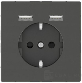 Розетка USB A+A, 2.4А с электрической розеткой
D-Life,  USB type-A 5V,  Электр. с USB,  двойная,   цвет - антрацит,  пластмасса,  MTN2366-6034,  MEG2366-6034,  Merten
 - PULSAL.RU
