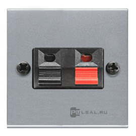 Розетка акустическая
Zenit,  1 пара,   цвет - серебряный,  пластмасса,  N2257.1 PL,  2CLA225710N1301,  ABB
 - PULSAL.RU