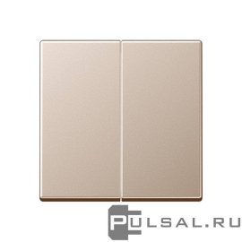 Клавиша
ECO profi и ECO profi Standart,  ECO profi design (ECO Profi Deco),  двухклавишный,  без подсветки,   цвет - шампань,  пластмасса,  EP495CH,  EP 495 CH,  JUNG
 - PULSAL.RU