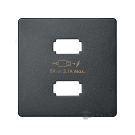 Накладка
Simon 82 Detail,  Simon 82 Nature,  Simon 82,  USB type-A 5V,  двойная,   цвет - графит,  пластмасса,  8221096-038,  Simon
 - PULSAL.RU