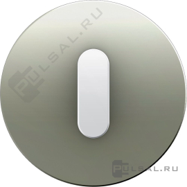 Накладка с белой ручкой
R.Classic,   цвет - нержавеющая сталь,  металл,  1001201400,  10 01 2014 00,  Berker
 - PULSAL.RU